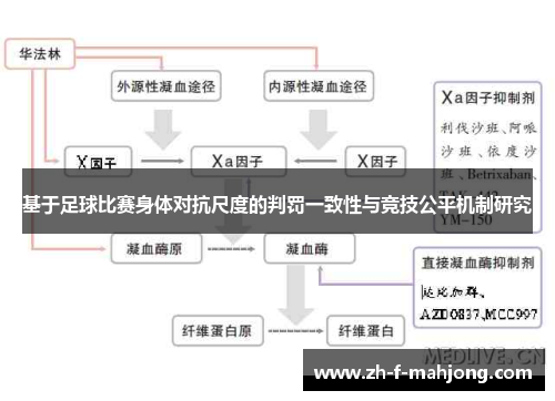 基于足球比赛身体对抗尺度的判罚一致性与竞技公平机制研究